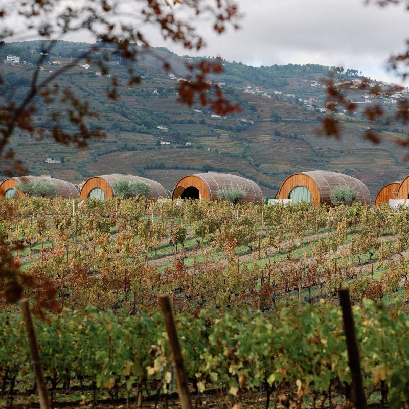 Discover the Charm of Northern Portugal: The People and Beauty of the Douro Valley