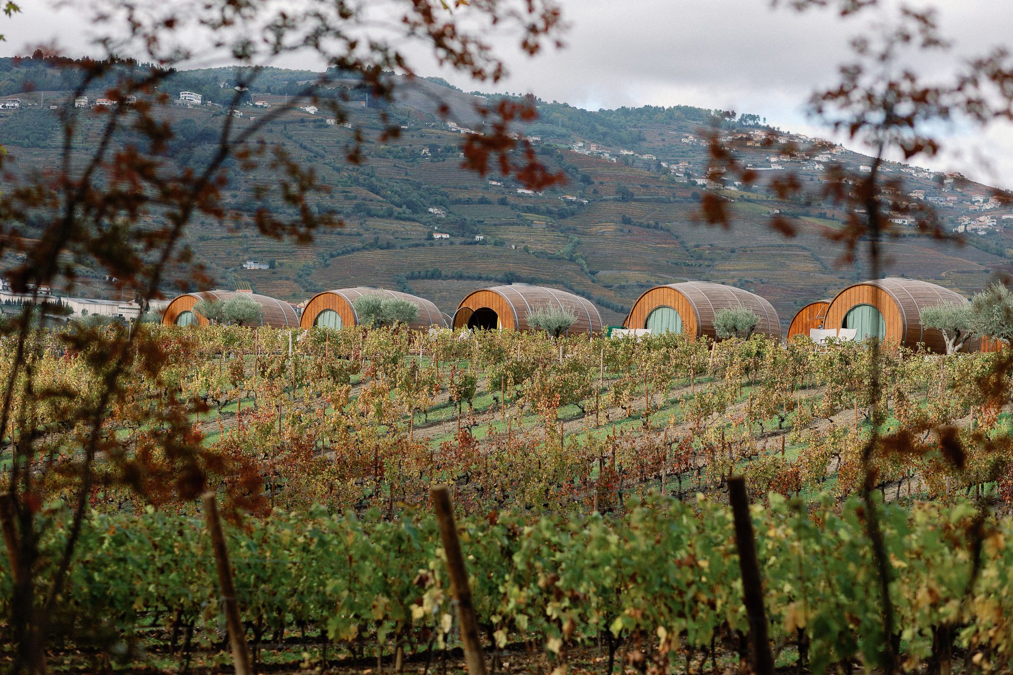 Why Quinta da Pacheca is a Dream Wedding Venue in Portugal