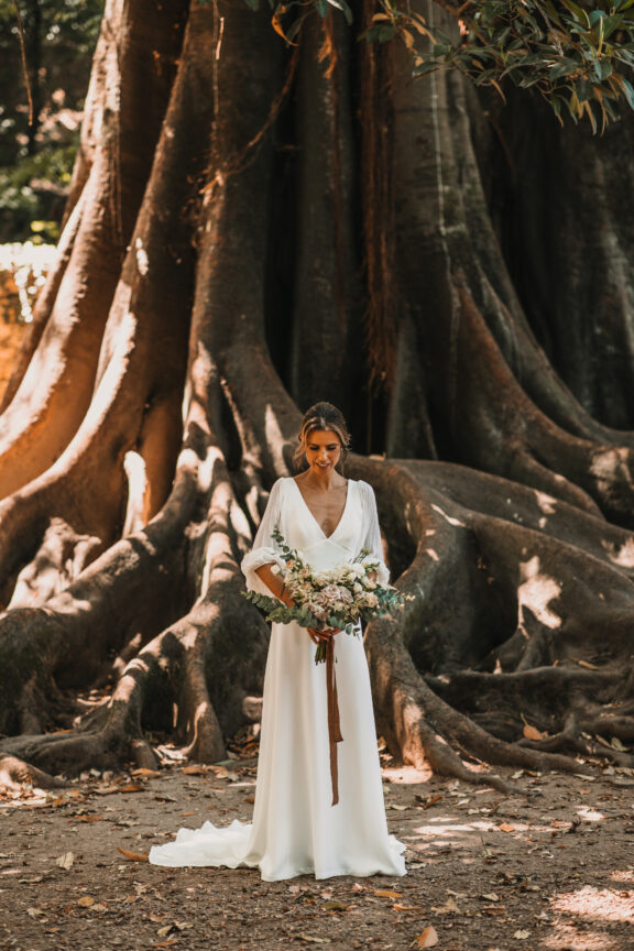 Our Mission and Goals