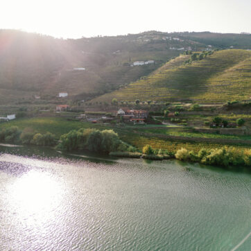 How Much Does a Wedding in Douro Valley Cost?
