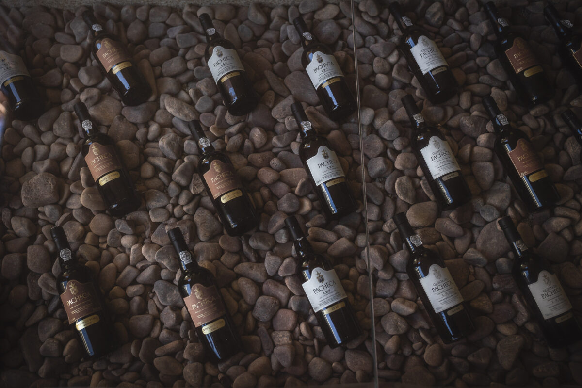 Portuguese Wines You Need to Know Before Your Wedding Day