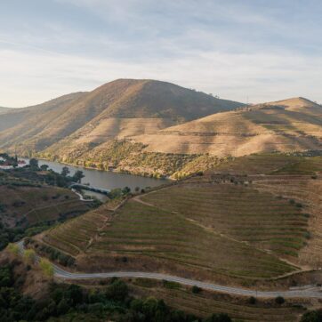 Elopement in Portugal: Why Couples Choose the Douro or Porto